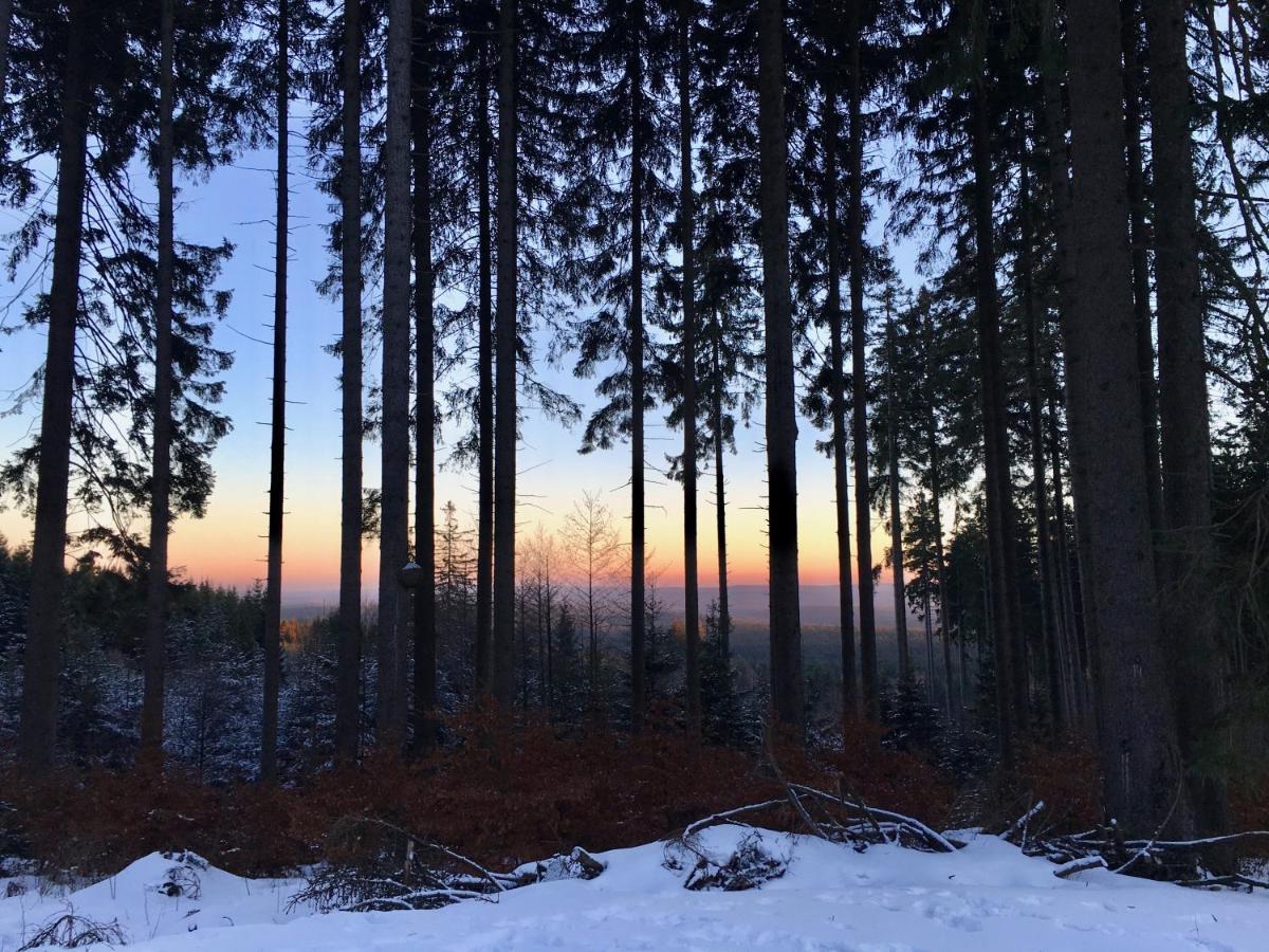 Fewo Harzromantik Braunlage Exteriör bild