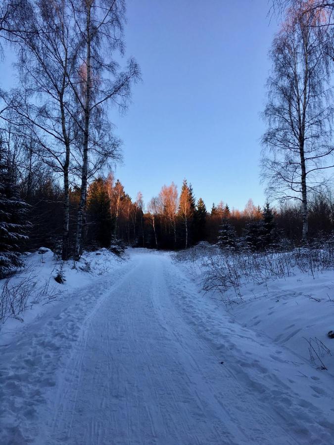 Fewo Harzromantik Braunlage Exteriör bild