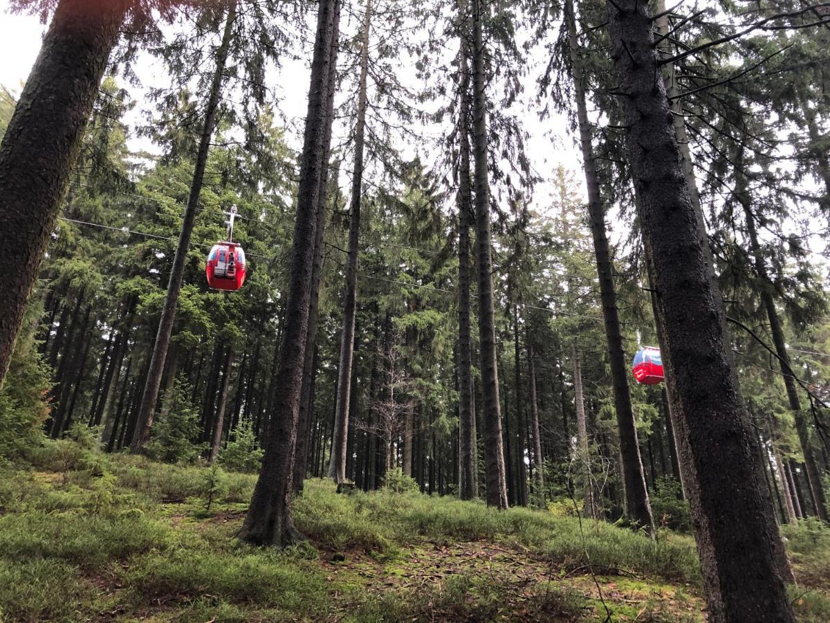 Fewo Harzromantik Braunlage Exteriör bild