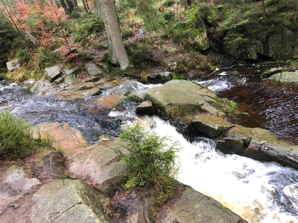 Fewo Harzromantik Braunlage Exteriör bild