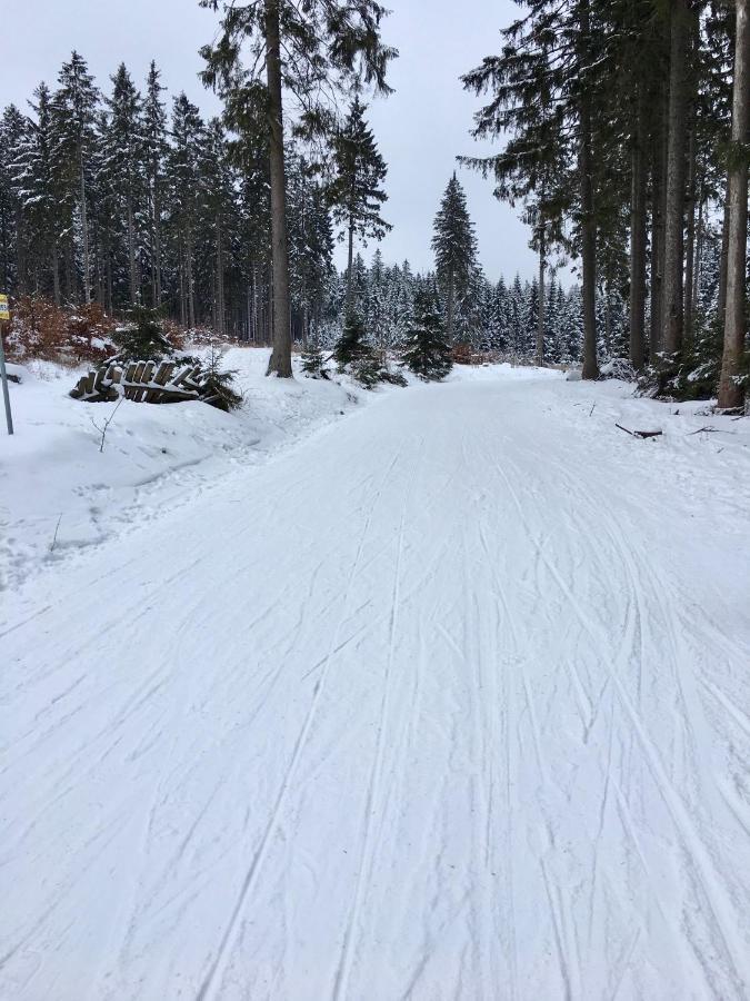Fewo Harzromantik Braunlage Exteriör bild